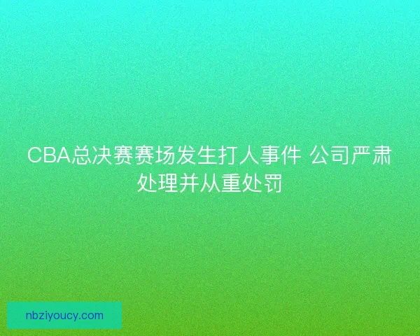CBA总决赛赛场发生打人事件 公司严肃处理并从重处罚